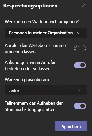 Besprechungsoptionen-fenster